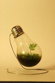 Embrace an Innovative Mindset